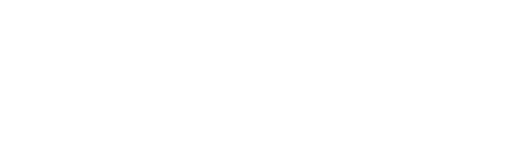 Logo BT