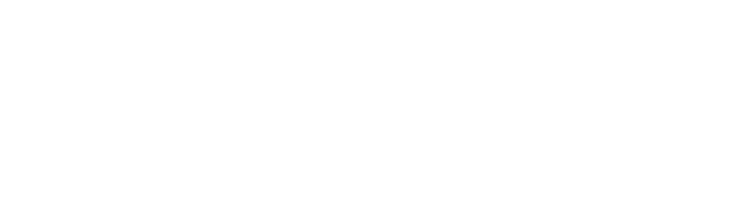 Logo eMAG