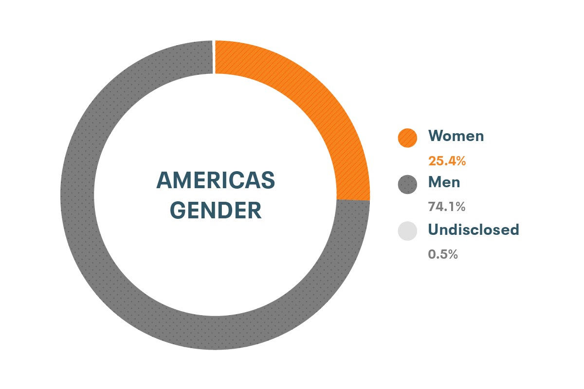 Dane firmy Cloudera dotyczące różnorodności i integracji dla płci w Ameryce Północnej i Południowej: kobiety 25%, mężczyźni 76,4%, nieujawnione 0,4%